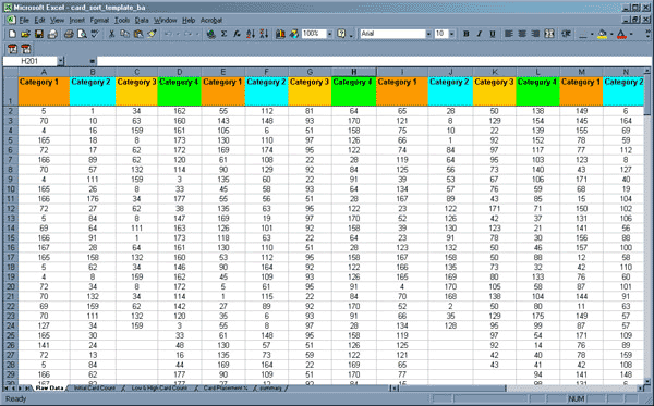 Here's a look at the Raw Data worksheet showing sample categories and card