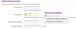 Help the user remember WHY their password is failing Help the user remember WHY their password is failing