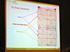 IA diagram for the radio program All Things Considered